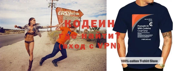 индика Нефтегорск