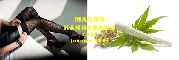 индика Нефтегорск