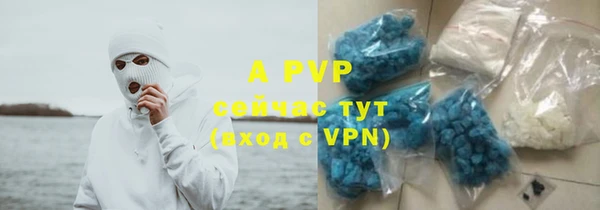 индика Нефтегорск